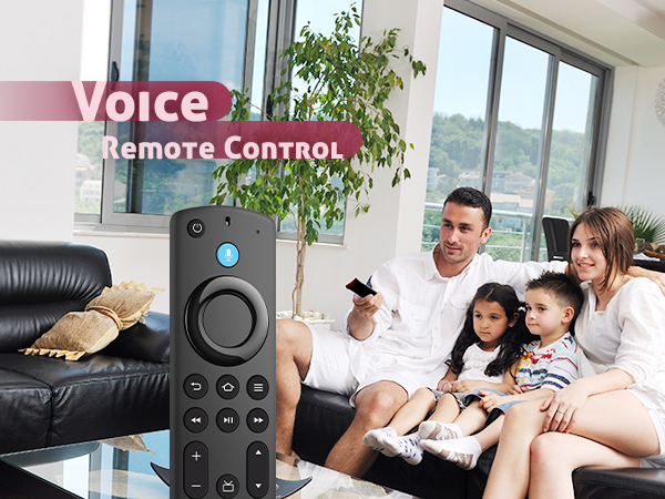 Voice Remote Replacement