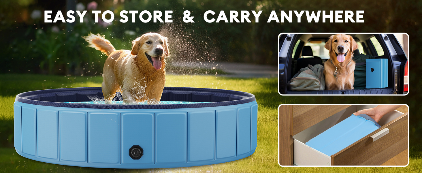 dog pool