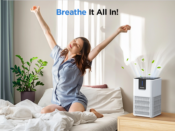air purifiers for home
