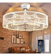 Depuley Outdoor Ceiling Fan with Light: 26" Caged Ceiling Fans with Remote App Control for Patio ...