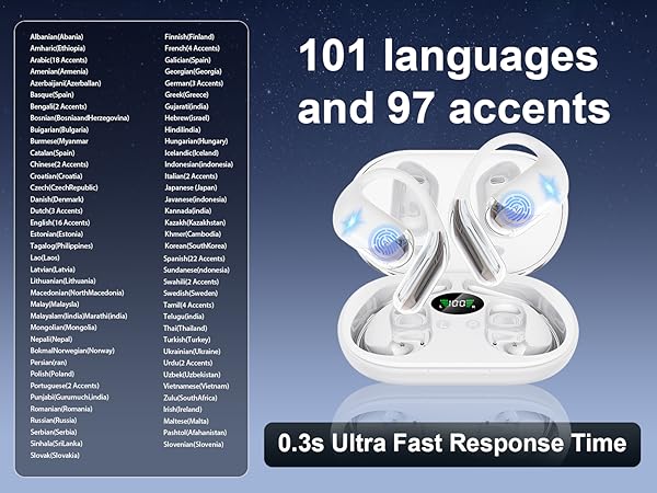 translation earbuds
