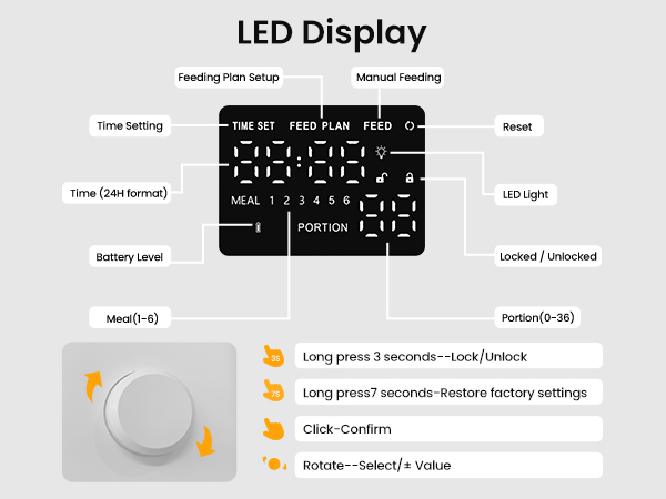 Automatic Cat Feeder and Water Dispenser