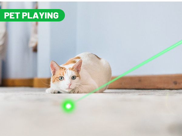 wireless clicker for presentations