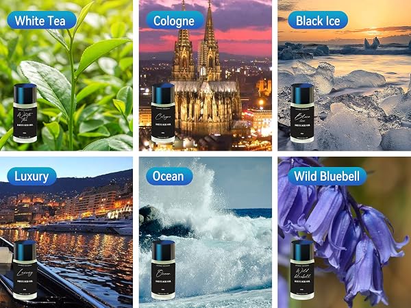 car fresheners long lasting