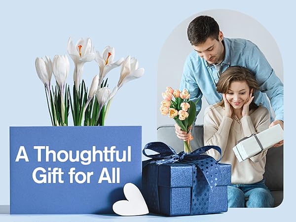 gift