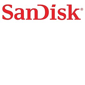 SanDisk