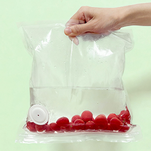 compact vacuum sealer for food