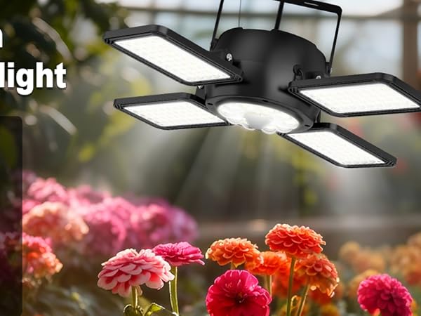 solar shed lights outdoor