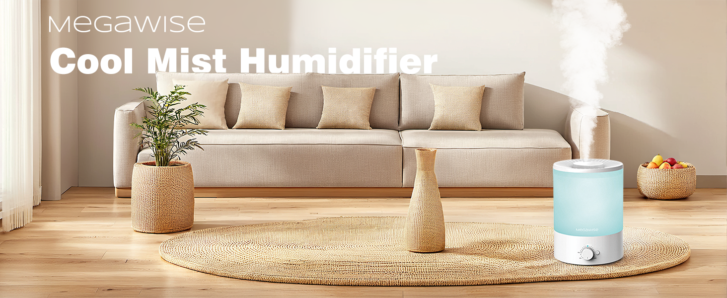 H1 Humidifier A+ 1