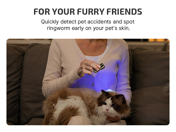 UV light for inspection