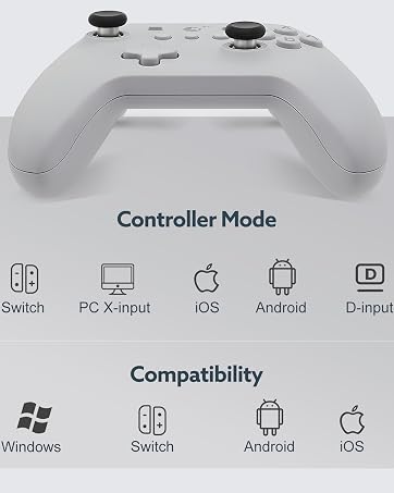 nintendo switch controller
