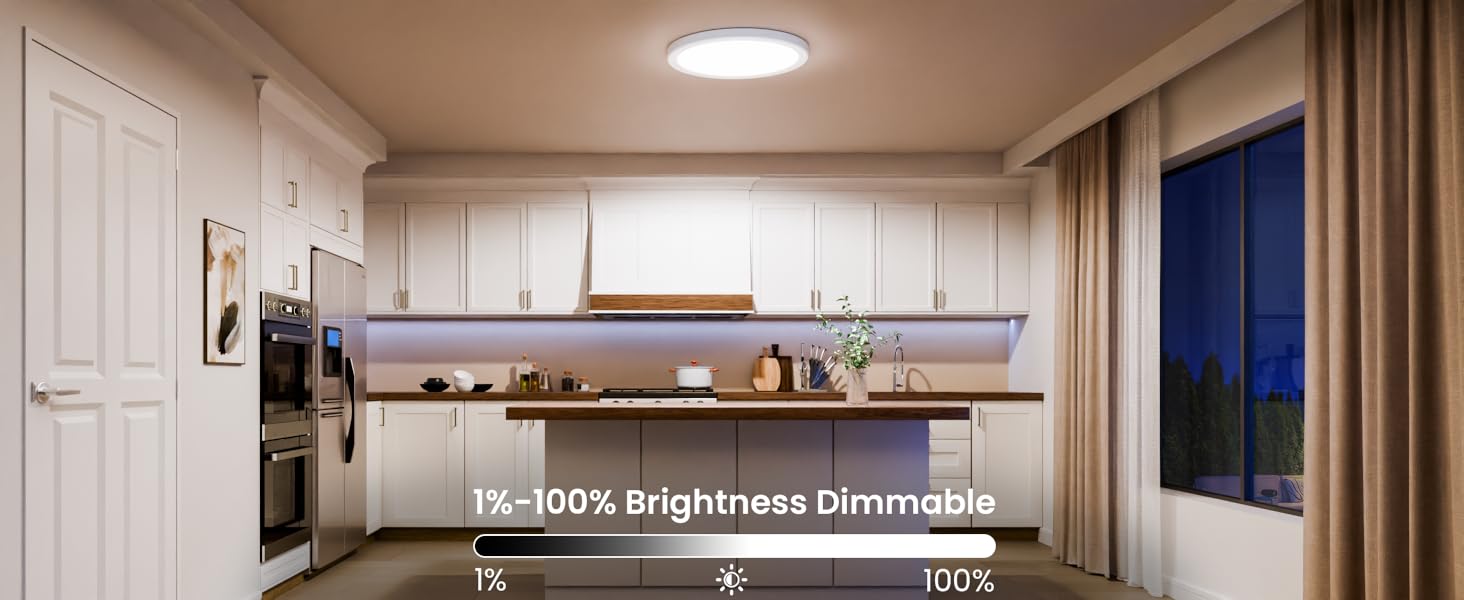 Smart Ceiling Light