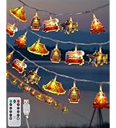 AceList 20 LED Camping String Lights - Battery and USB Operated, Mini Kerosene Waterproof Outdoor...