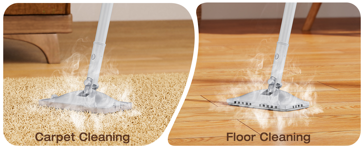 steam Cleaner