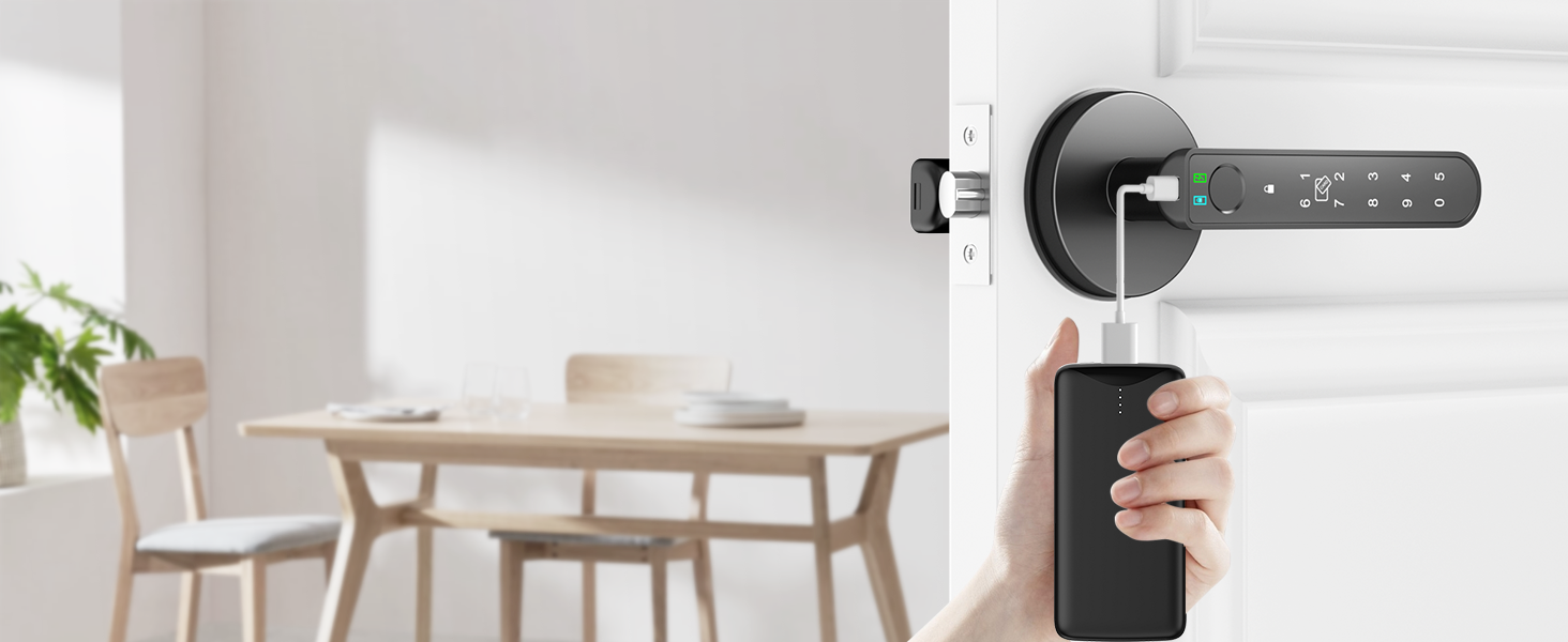 electric door locks for bedrooms black