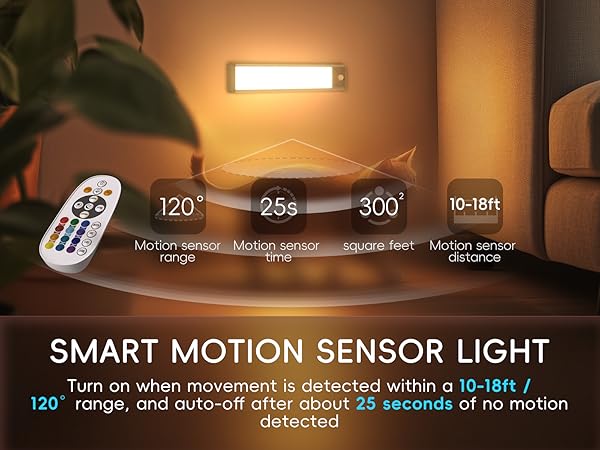 motion sensor