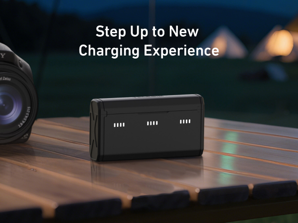 np bx1 battery charger set