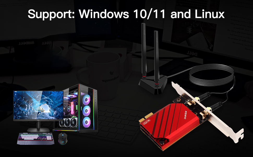 window 10/11