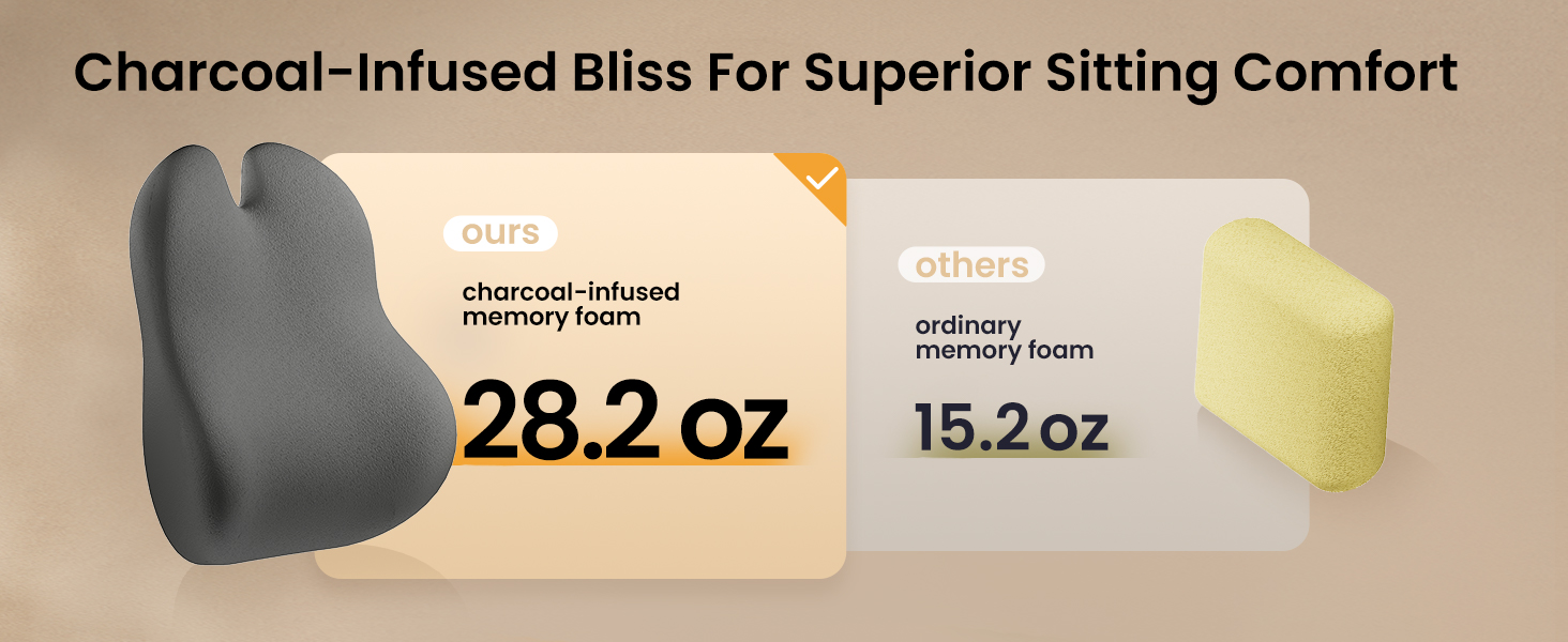 lumbar support pillow