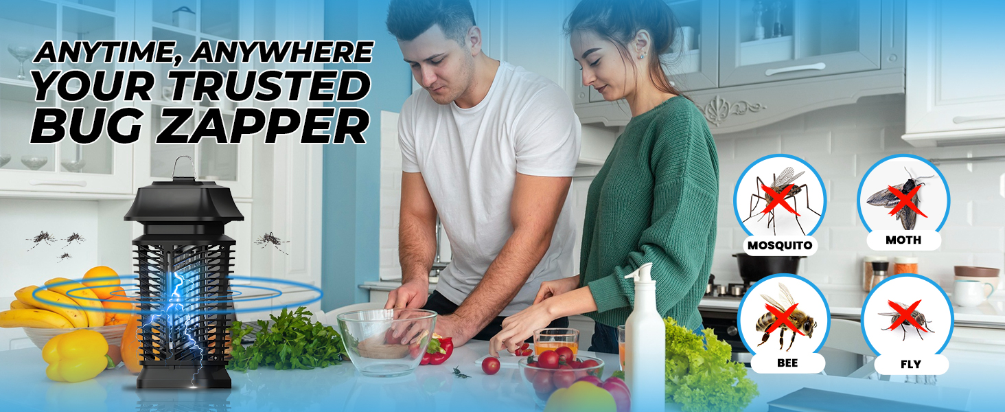 Electric Fly Swatter