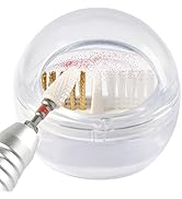 LXIANGN Nail Drill Bits Cleaning Brush Case Cleaner Tool with Clear Cover,Nylon Wire &amp; Steel Wire...