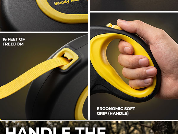 dog leash