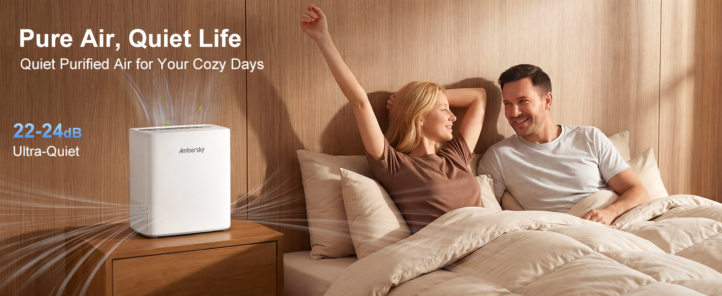 Air purifiers for bedroom