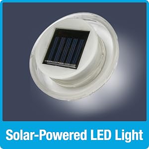 Solar-Powered LED Light
