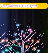 Ariceleo 2FT Lighted Birch Tree with RGB LED Lights, USB Powered, Timer &amp; APP Control, 24 LED, Ta...