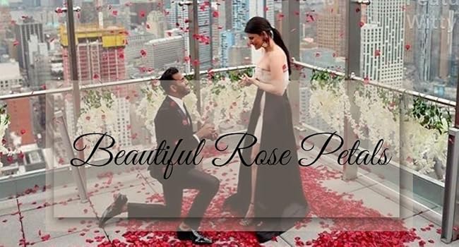 Proposal Decorations