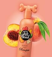 Quick Fix Shampoo