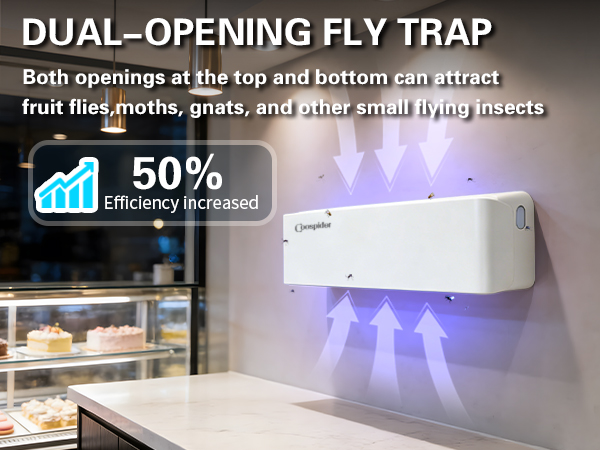 Fly Trap Indoor