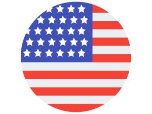 for tesla x fob battery, for tesla battery 2354, tesla key fob, battery for tesla key