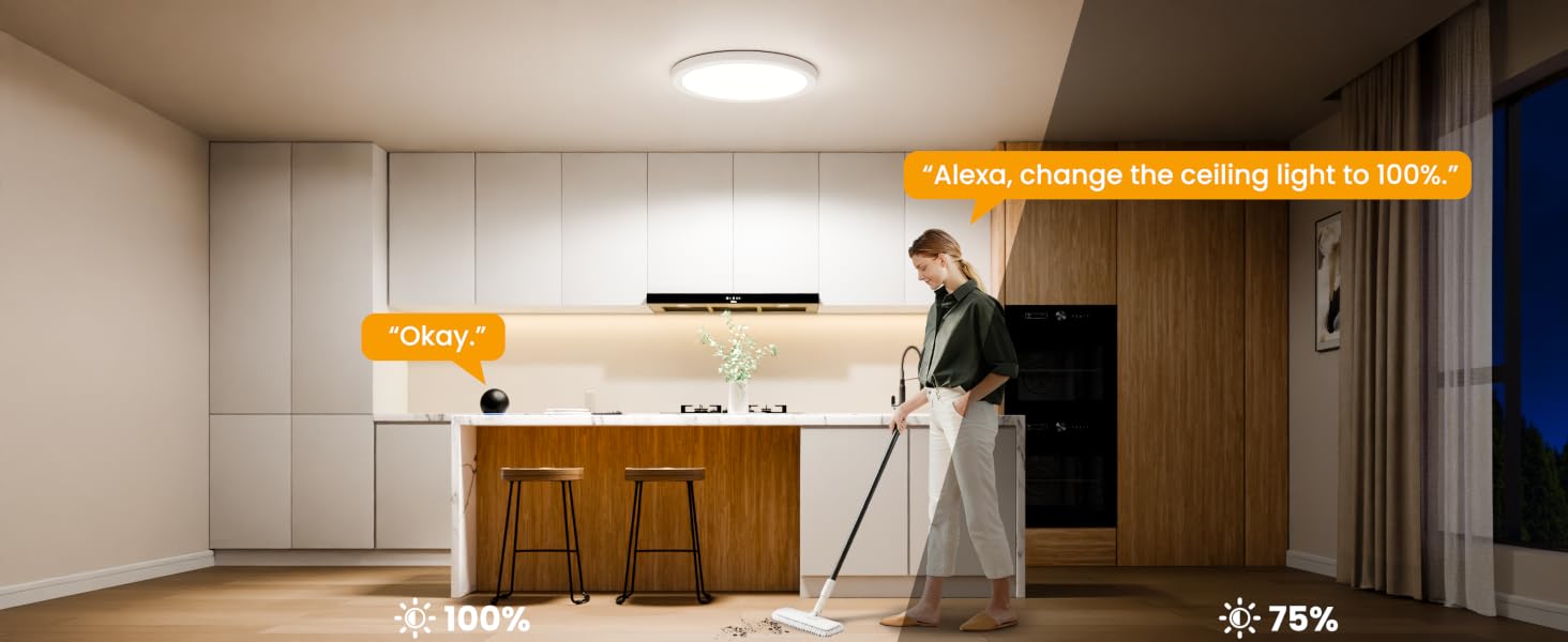 Smart Ceiling Light