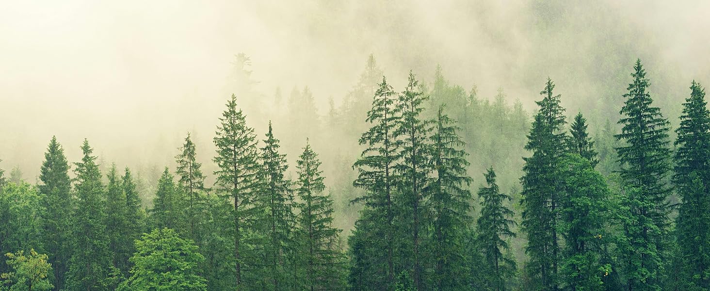 Pinesman - To Do Notepad - One Tree Planted