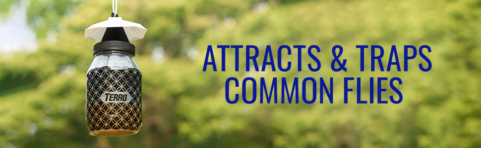 TERRO Fly Magnet Fly Trap attracts and traps common flies