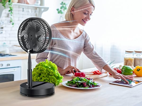 Desktop fan for kitchen