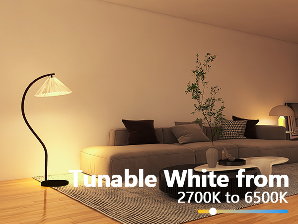 Switch to Warm White