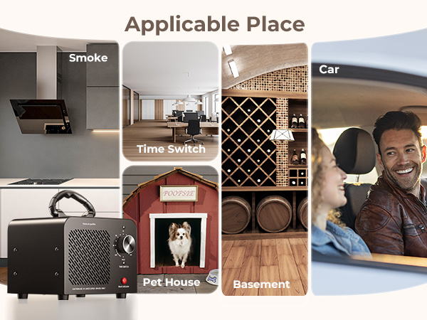 Ionizer Air Purifier Ozone for Home