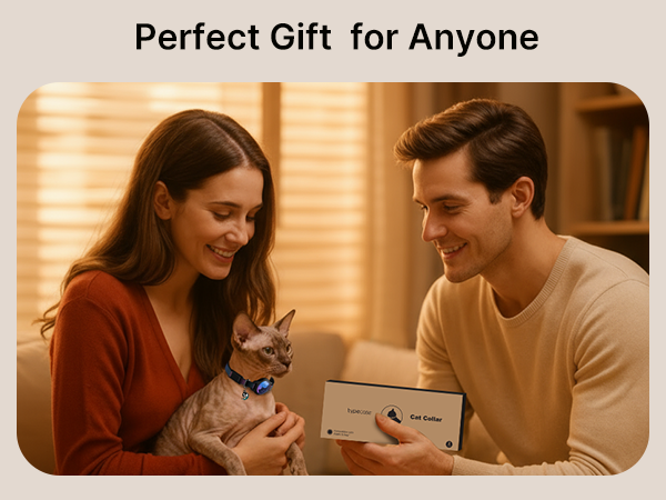 Perfect Gift