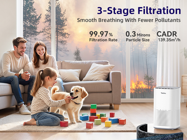 Air Purifiers for Home Large Room