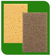 Sponges Kitchen