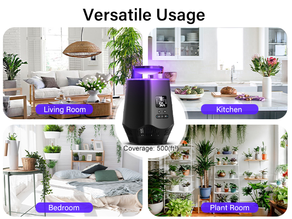 house fly traps indoor for home