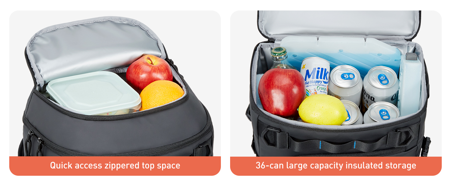 cooler backpack