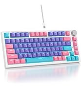 Mosptnspg 75% TKL Wired Mechanical Keyboard,RGB Backlit Gasket Mount 82 Key Hot Swappable Custom ...