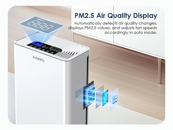 Air Purifiers for Home