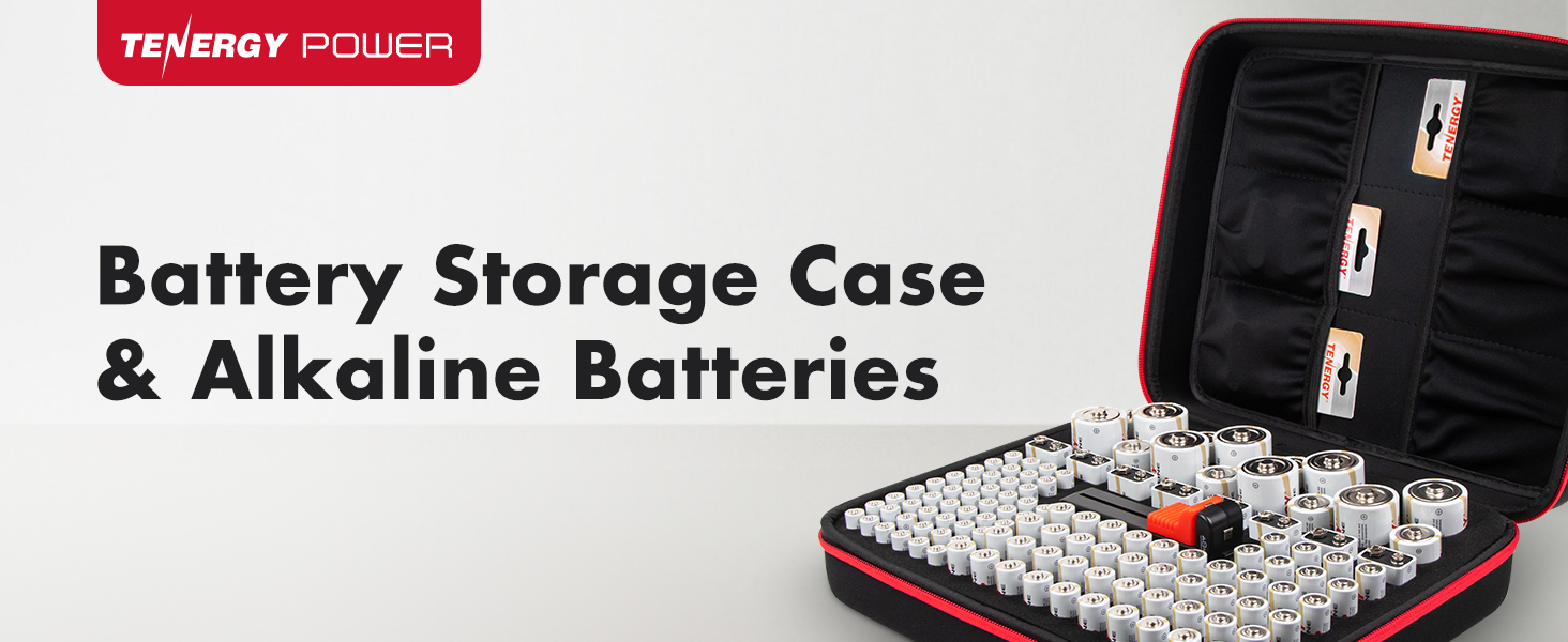 Tenergy battery storage case and 120 batteries