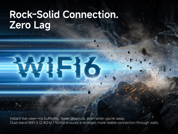Dual-Band WiFi 6