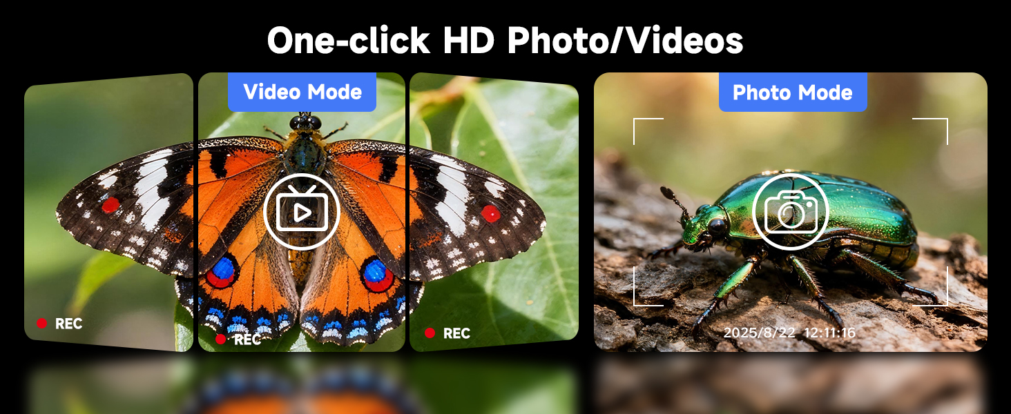 coin collecting supplies coin magnifier microscope magnifying glass for coins electric microscope