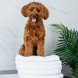 tub lifestyle